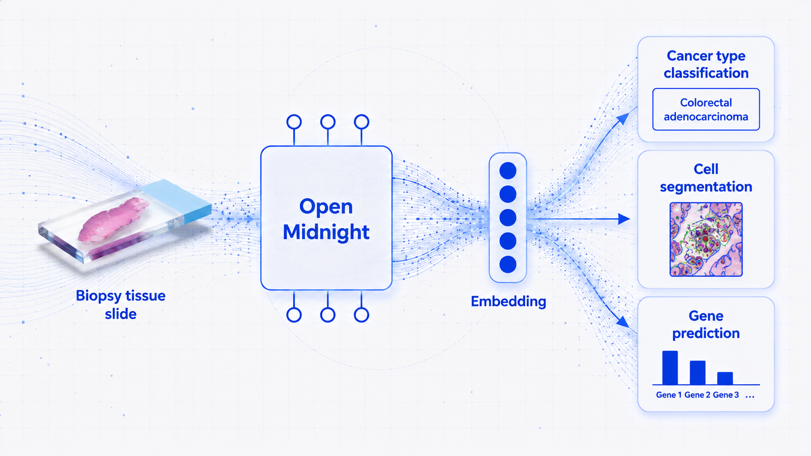 OpenMidnight pathology foundation model visualization